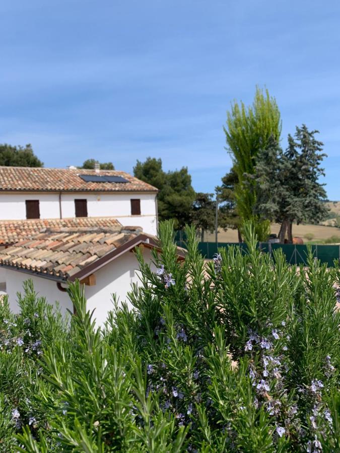 Naturaverde Country House Senigallia Exterior photo
