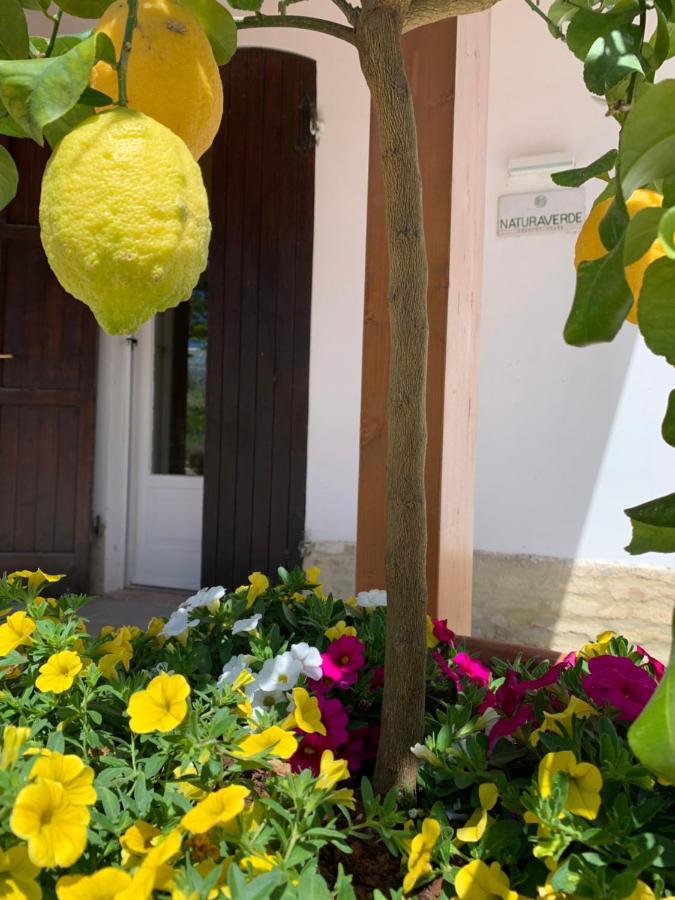 Naturaverde Country House Senigallia Exterior photo